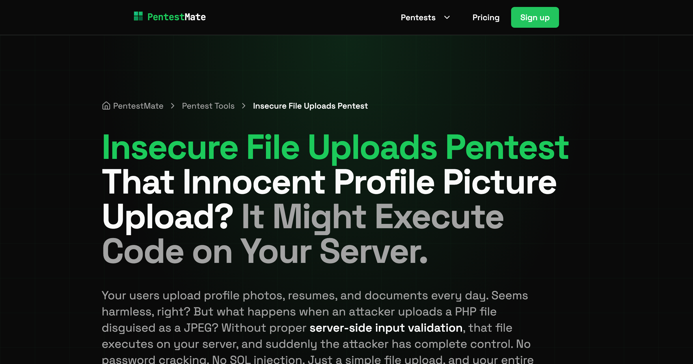 Insecure File Uploads Pentest | Server-Side Input Validation Security ...
